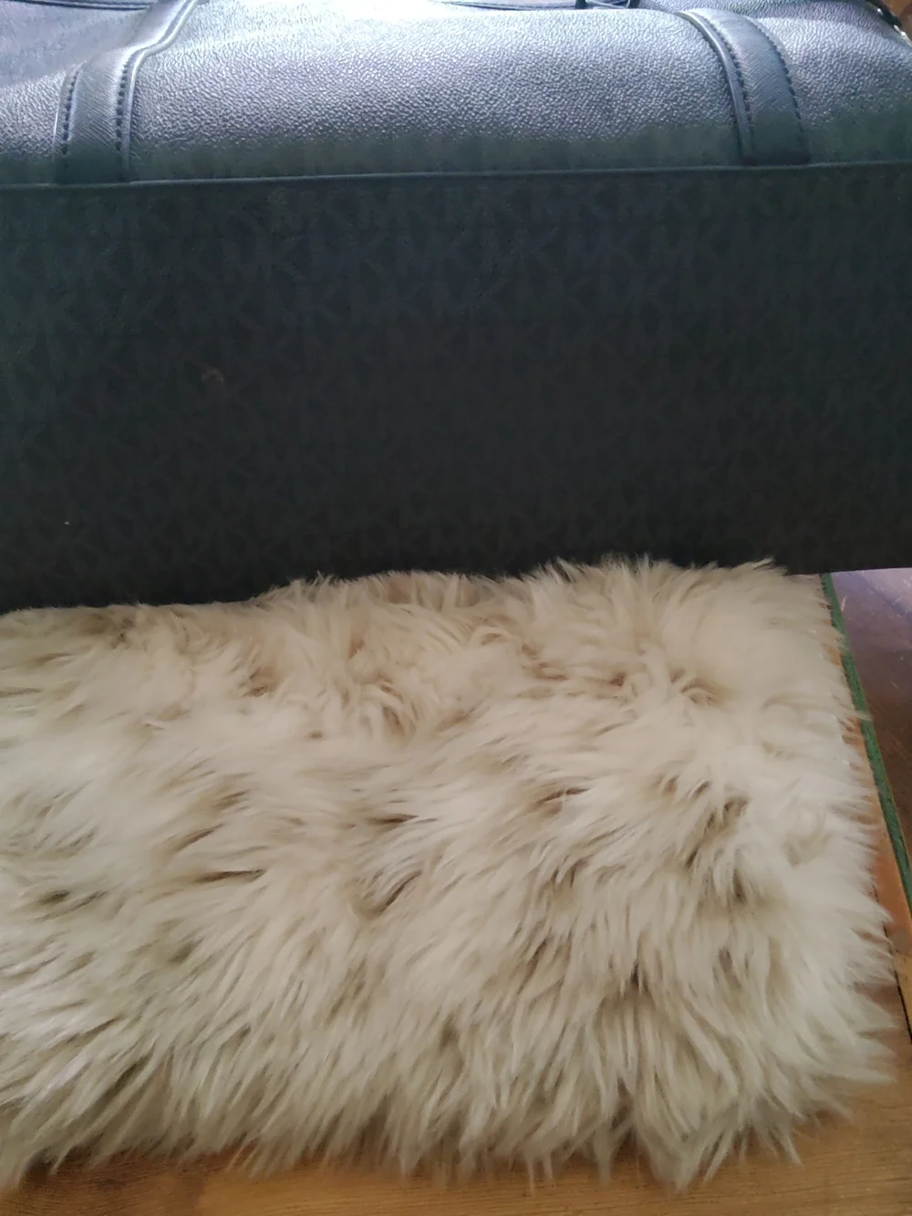 Michael Kors authentic vintage